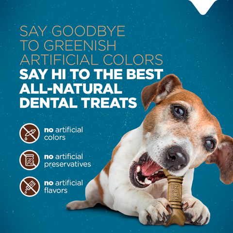 Pet dental treats clearance