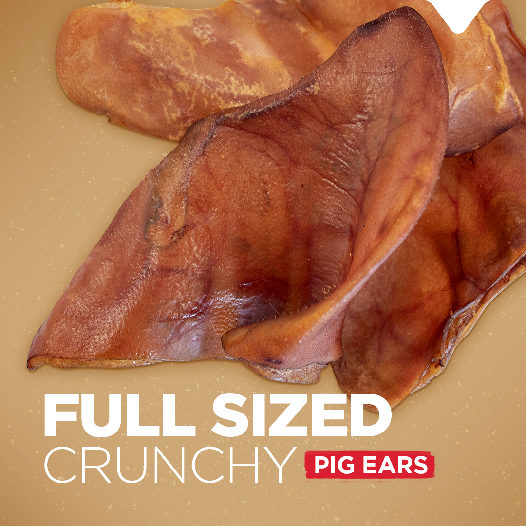 Pig Ear Treats for Dogs Natural Farm Shop Ears