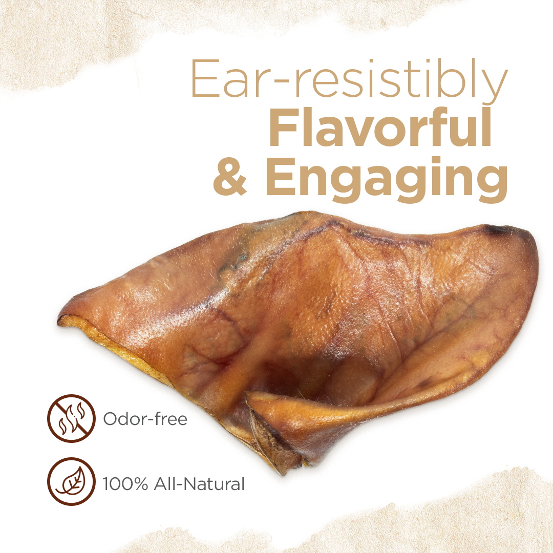 Pig Ear Treats for Dogs Natural Farm Shop Ears