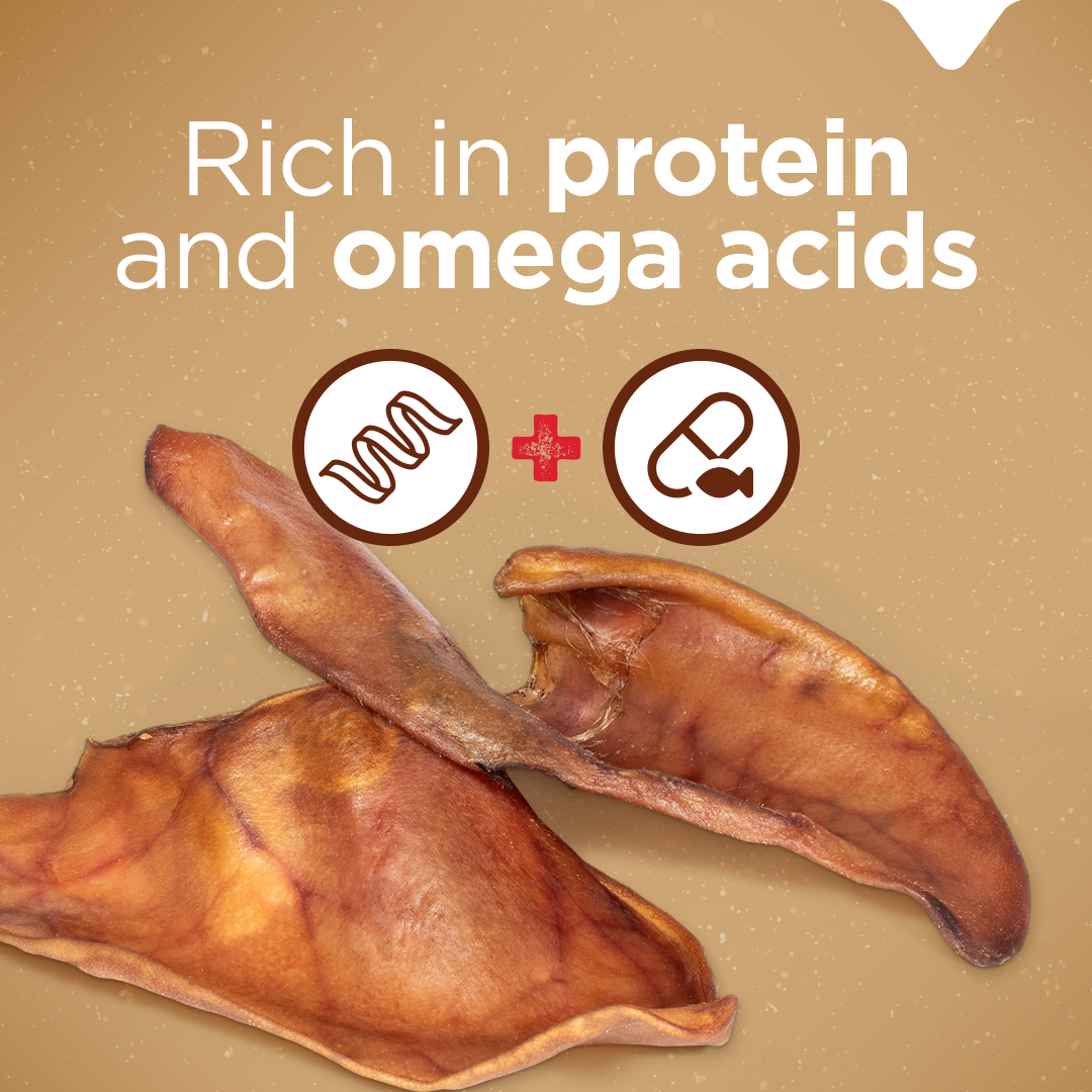 Pig Ear Treats for Dogs Natural Farm Shop Ears
