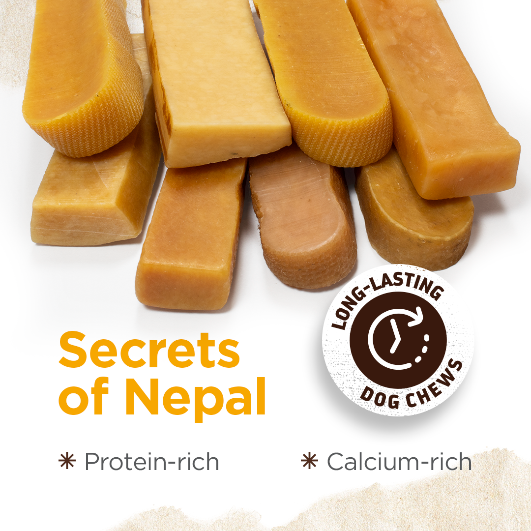 Small Yak Cheese Chews Natural Farm Shop Yak Cheese Chews
