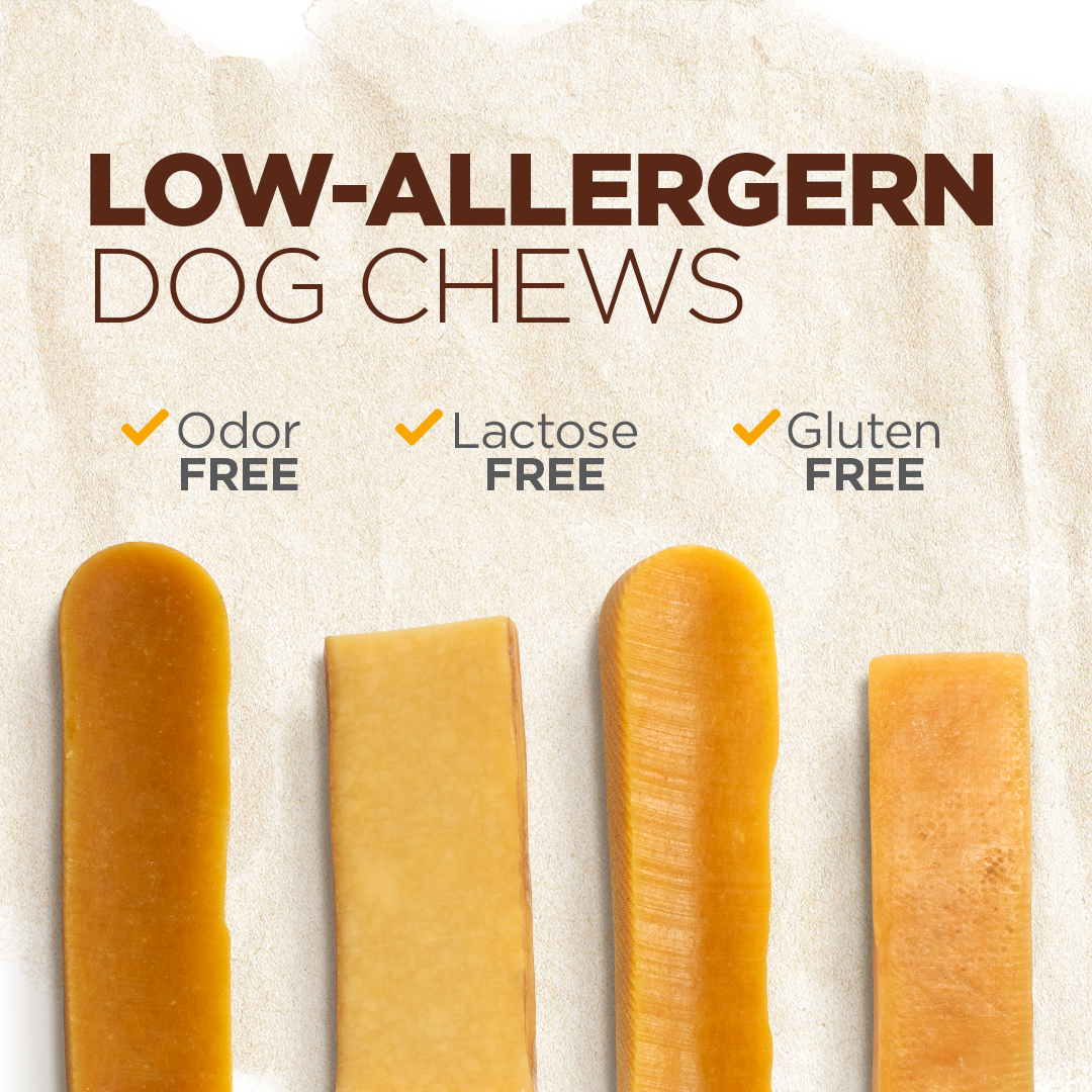 Large Yak Cheese Chews Natural Farm Shop Yak Cheese Chews