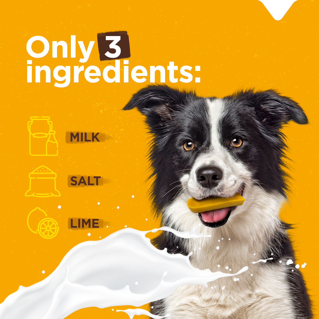 Small Yak Cheese Chews Natural Farm Shop Yak Cheese Chews