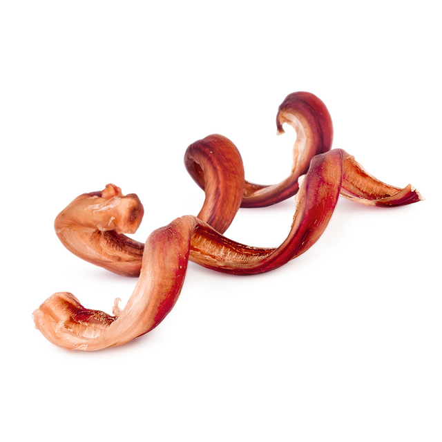 6 inch bully spring chew for playful dogs