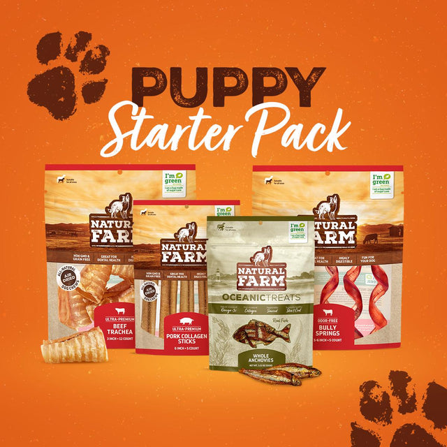Puppy bundle with assorted natural chews for young dogs