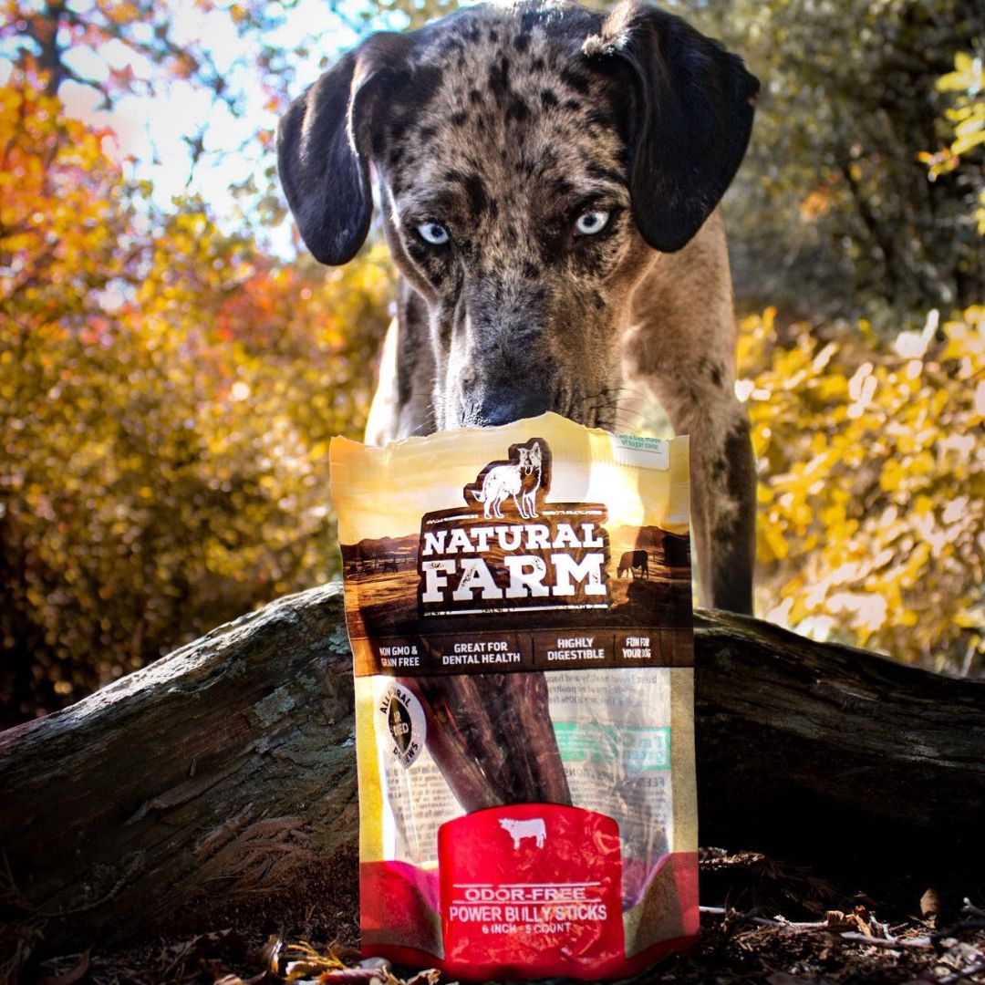 6 Inch Power Bully Sticks Natural Farm Shop Bully Sticks