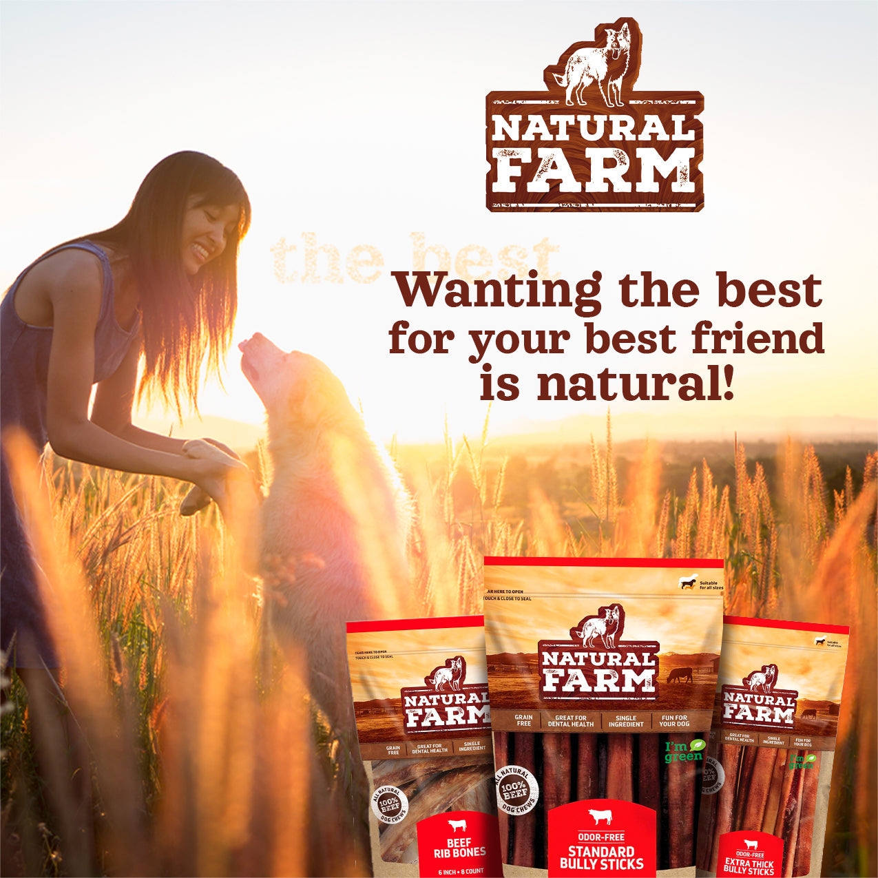 4 Inch Standard Bully Sticks Natural Farm Shop Bully Sticks