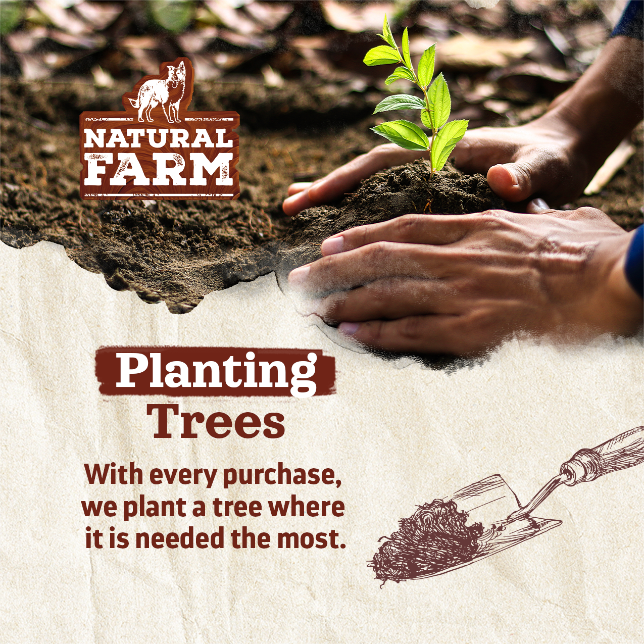 3-4 Inch Peanut Butter Filled Bones Natural Farm Shop Bones