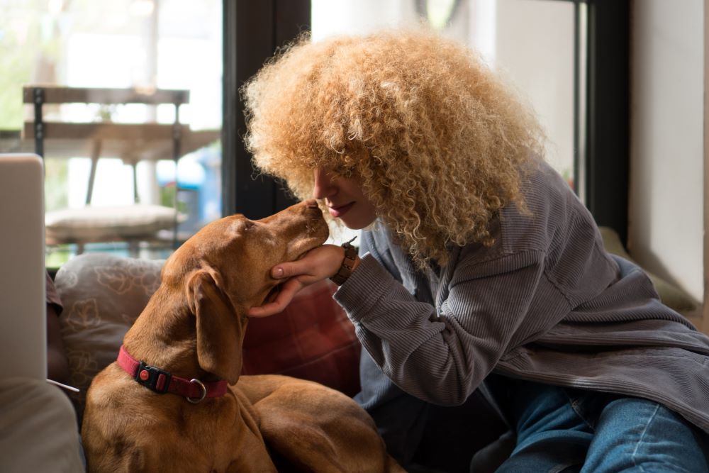 Are Dog Bones Safe for Dogs to Eat?