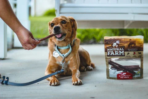 Are Bully Sticks Digestible?