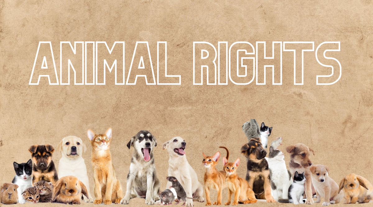 Animals Rights Red What to Know About Animal Rights Day - Natural Farm
