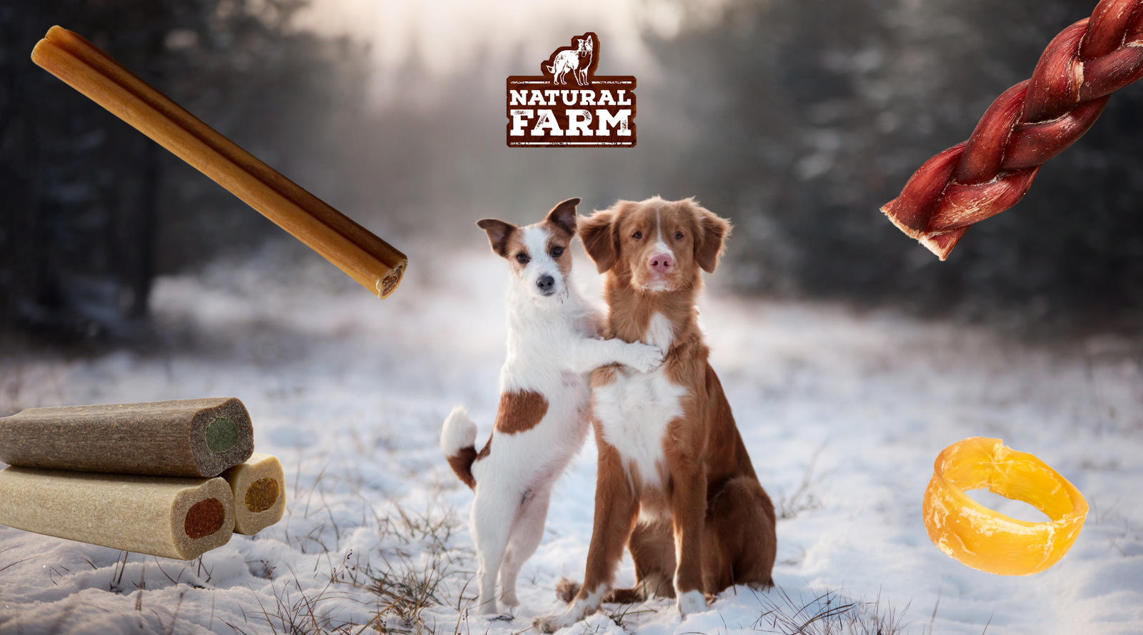 Happy and healthy dogs thrive and enjoy the winter due to nutrient-infused diets provided by healthy, all-natural Natural Farm dog chews, treats, and bones.