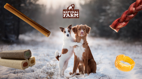 Happy and healthy dogs thrive and enjoy the winter due to nutrient-infused diets provided by healthy, all-natural Natural Farm dog chews, treats, and bones.