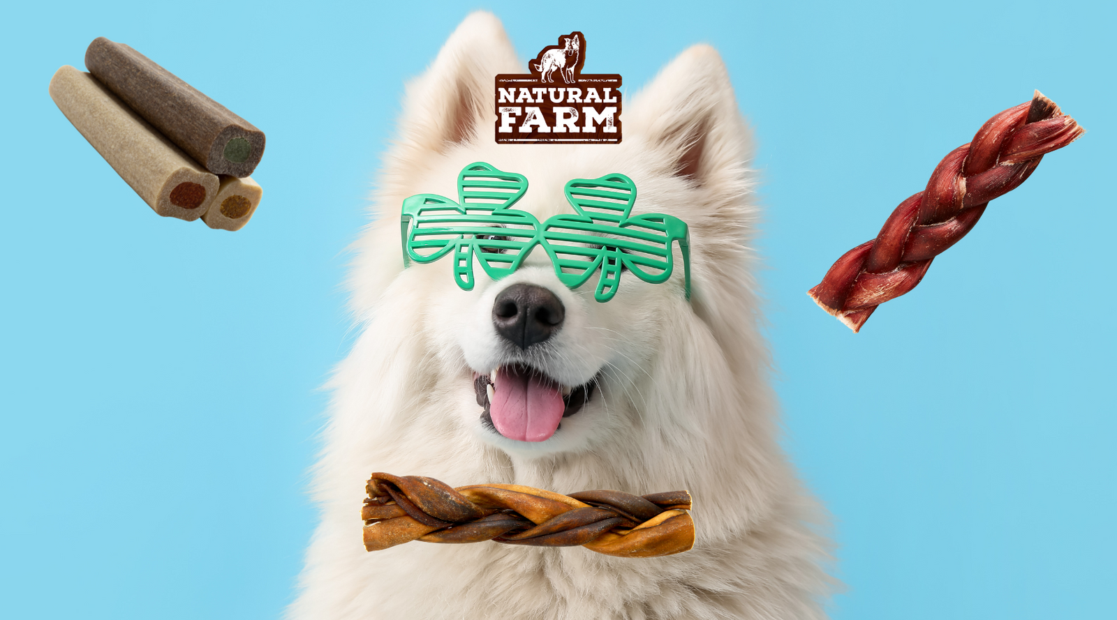 St. Patty's Day dog celebrates by eating healthy, all-natural Natural Farm chews, treats, and bones, and with some delicious dog-friendly recipes!