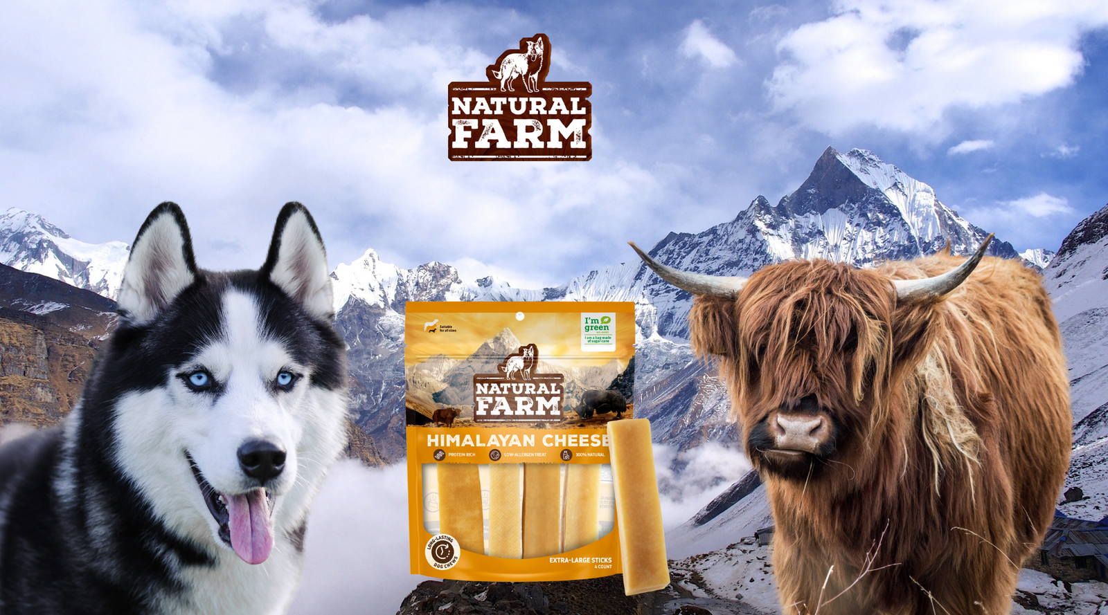 Happy husky dog enjoys new all-natural Himalayan yak cheese dog chews from Natural Farm. Low-allergy dogs chews that are great for hard, aggressive chewers, allergy-prone dogs, and sensitive stomachs. 
