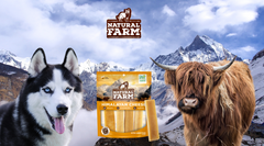 Discover the Benefits of Allergy-Friendly Yak Cheese Chews for Dogs