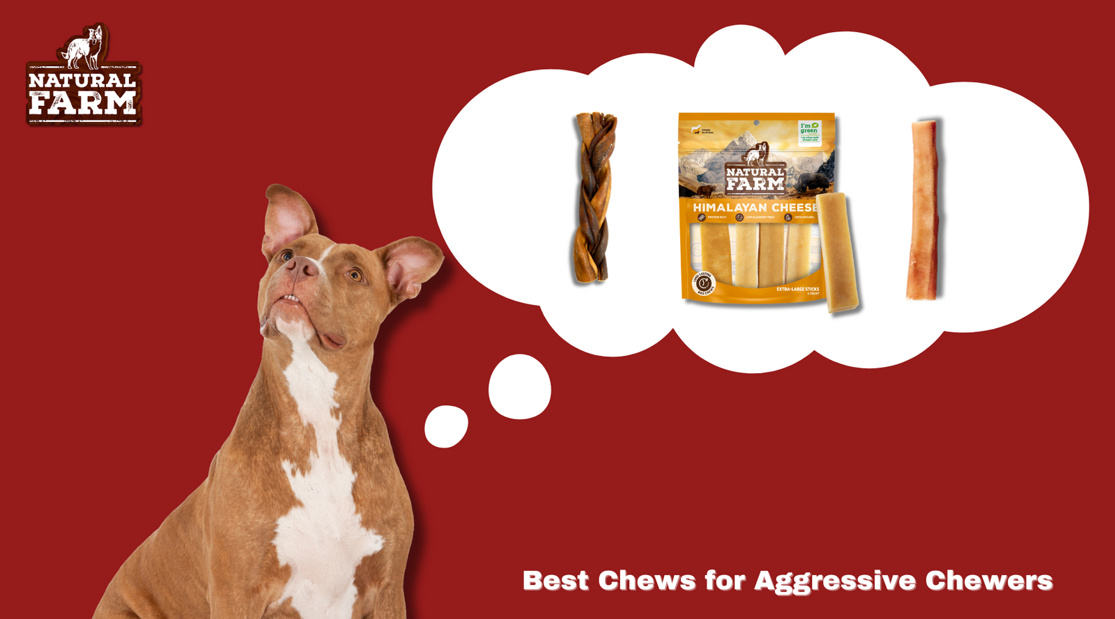 Put bull dog who is considered an aggressive chewer ponders the best dog chew options to please itself and its owner. The dog thinks of high-quality Natural Farm dog chews, treats, and bones that are all-natural, healthy, and flavorful.