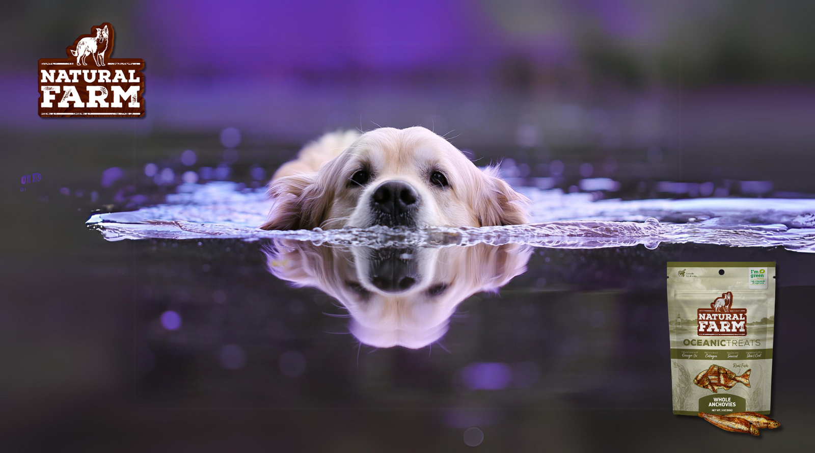 Happy healthy dog swim safely in water with the aid of Natural Farm's all-natural oceanic treats and chews.