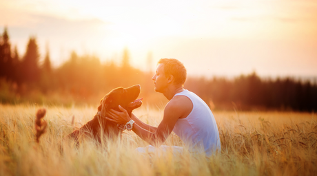 Fostering Pets: Everything You Need to Know