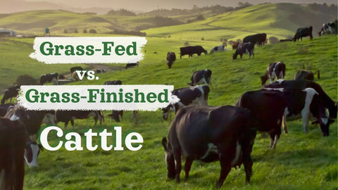 Grass-Fed Vs. Grass-Finished Cattle: What's the Difference?