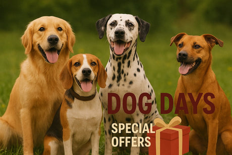 National Dog Day 2025: Celebrate with Premium Natural Treats