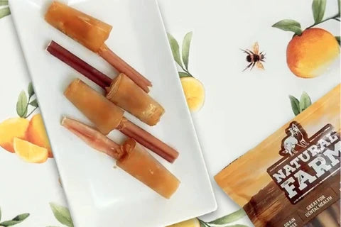 Frozen Dog Treats: Easy Homemade Pupsicle Recipe
