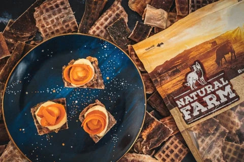 Pumpkin Dog Treats: Frozen Crostini Recipe with Yogurt & Carrots