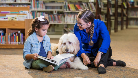 Everything To Know About Pet Therapy — Natural Farm