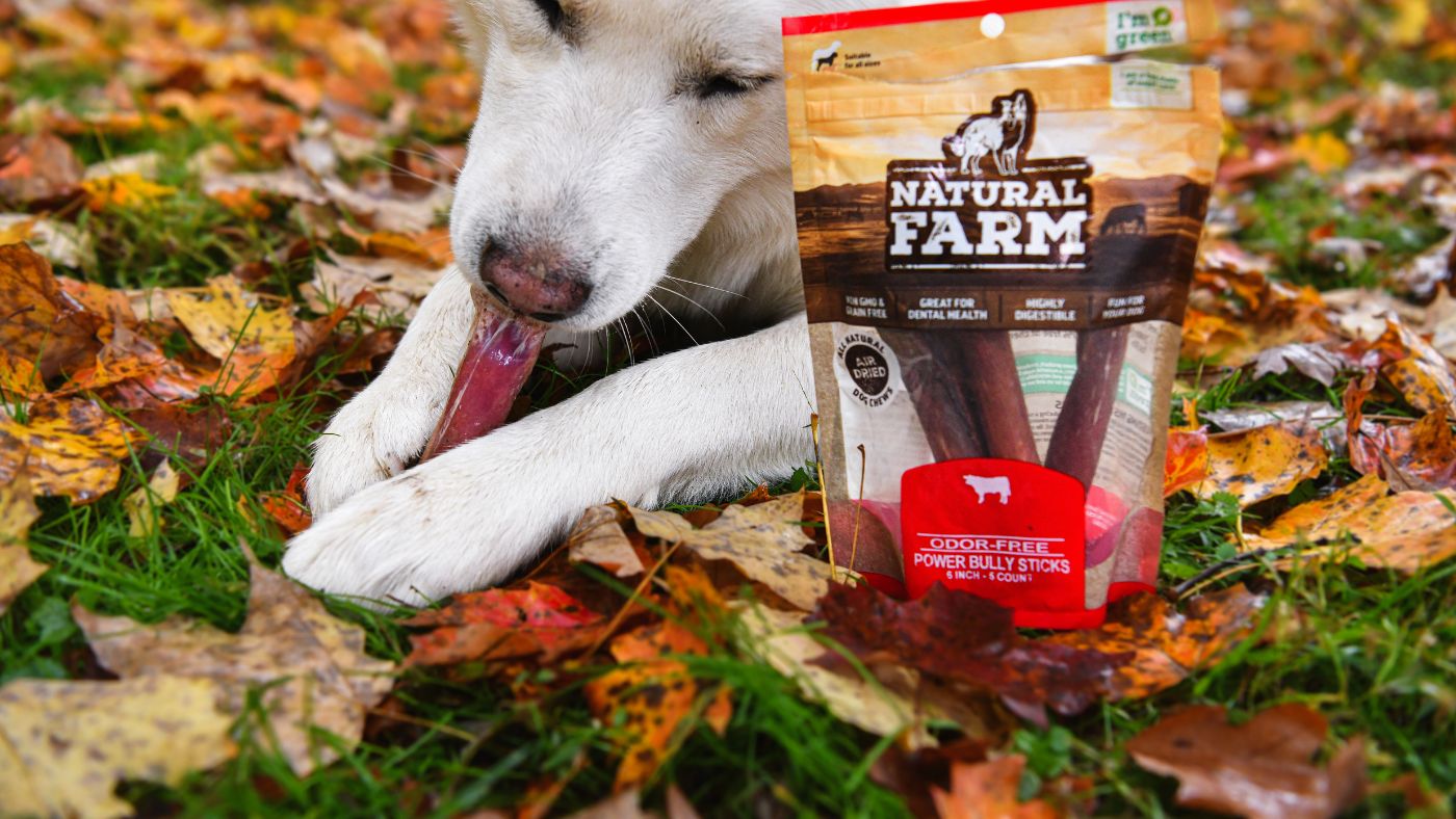 What Are Power Bully Sticks — Natural Farm