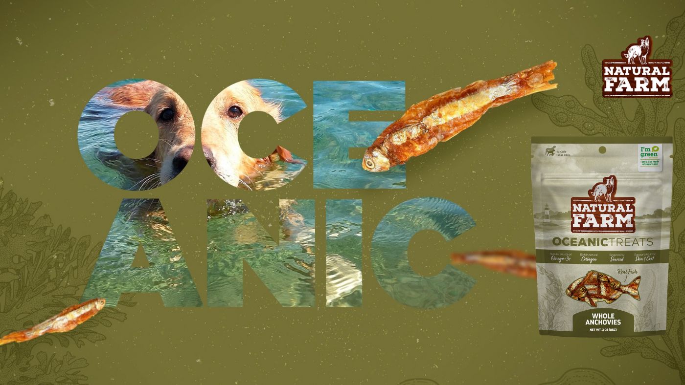 Dogs Love Seafood: Natural Farm’s New Anchovy Dog Treats