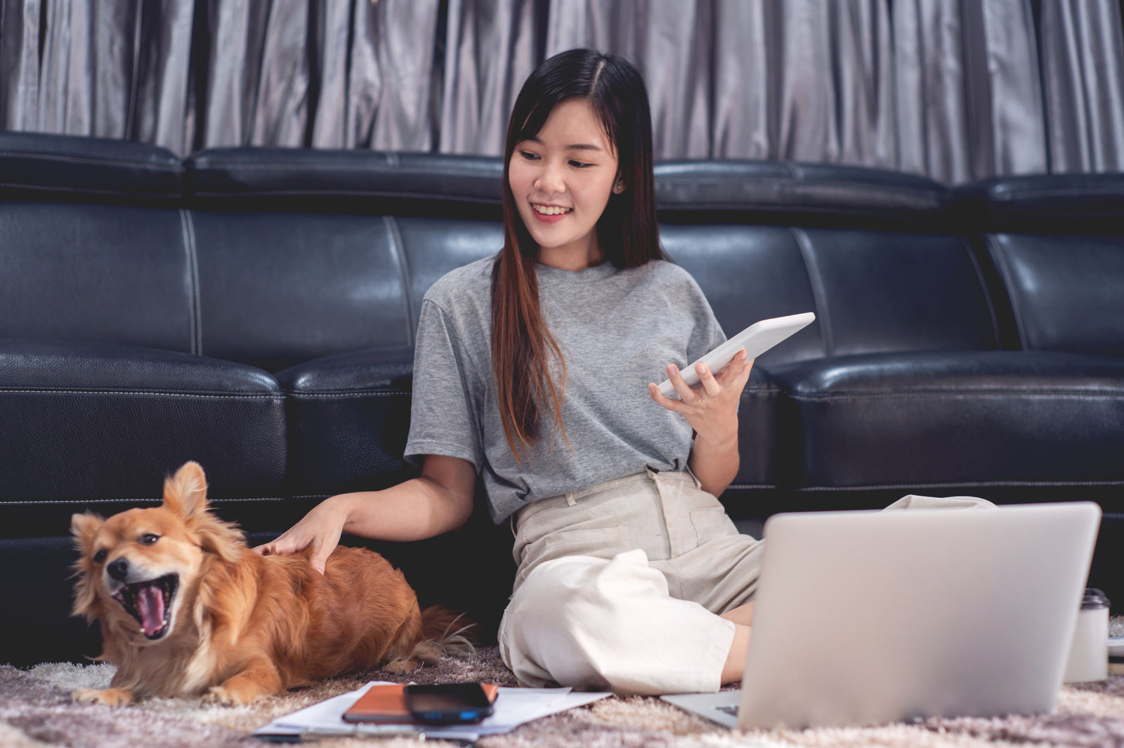 Everything You Need to Know About Pet Insurance