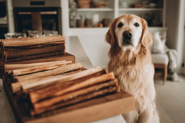Bully Stick Calories: Every Size, Every Dog