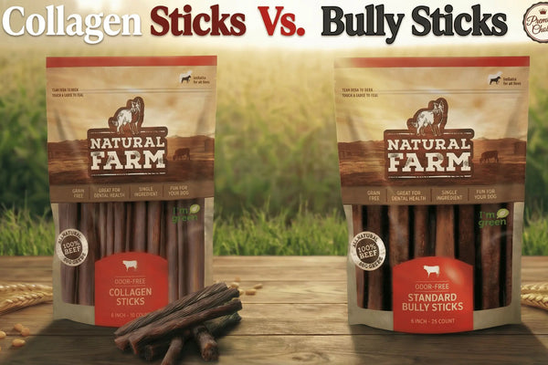 Collagen Sticks for Dogs: Are They Safe & How They Compare to Bully Sticks