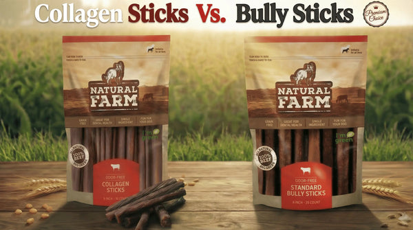 Collagen Sticks for Dogs: Are They Safe & How They Compare to Bully Sticks