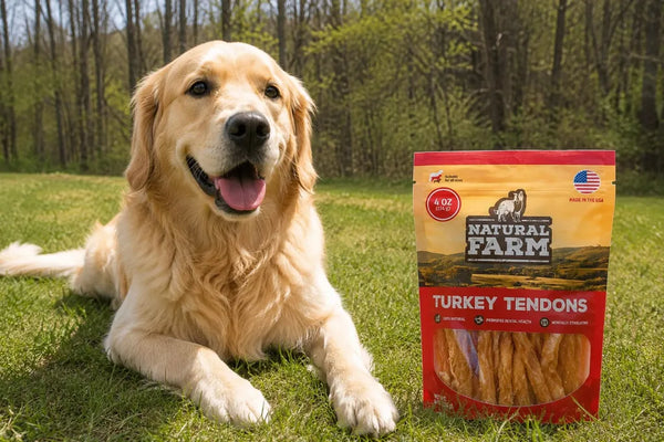 Turkey vs Beef Tendons for Dogs: Which Is Better?