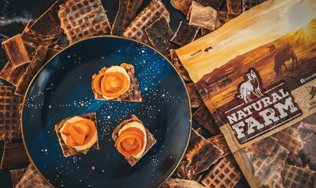Homemade Dog Treat Recipes: Complete Guide + 3 Easy Recipes