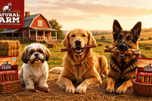 Natural Dog Chews: The Complete Guide [2026]