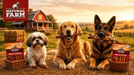 Natural Dog Chews: The Complete Guide [2026]