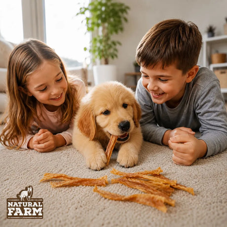 Turkey Tendons for Puppies: Safety, Age & Sizing Guide