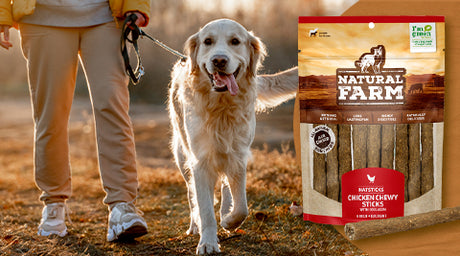 Dog receives effective training with the use of all-Natural, healthy Natural Farm dog treats called Natsticks