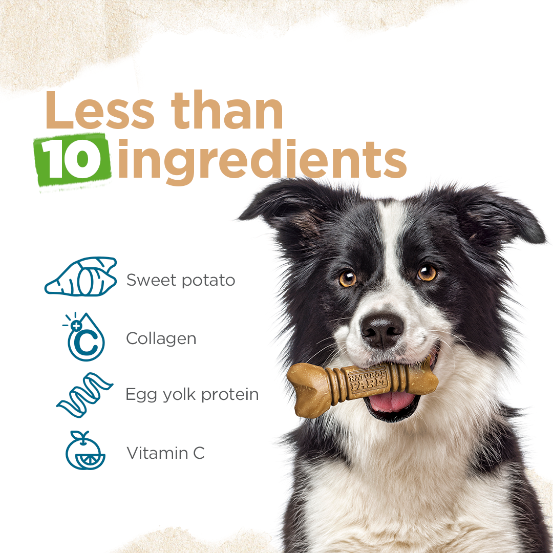 Mini Dental Treats Buy Mini Dental Chews Natural Farm