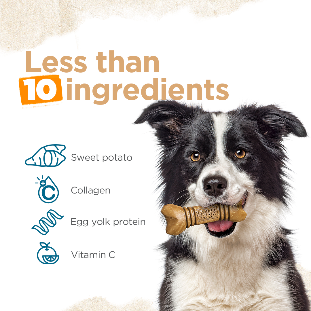 Small Dental Treats Natural Farm Shop Dental treats