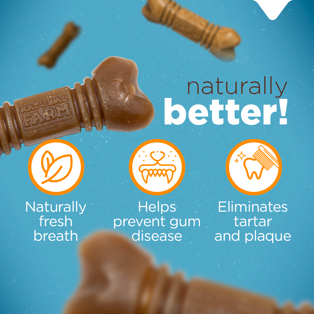 Small Dental Treats Natural Farm Shop Dental treats