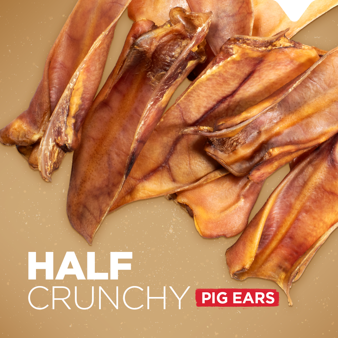 Pig ear dog treats online