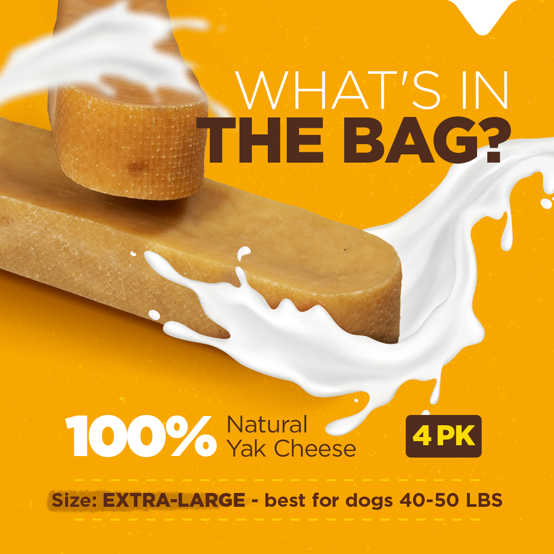 Extra Large Yak Cheese Chews Natural Farm Shop Yak Cheese Chews