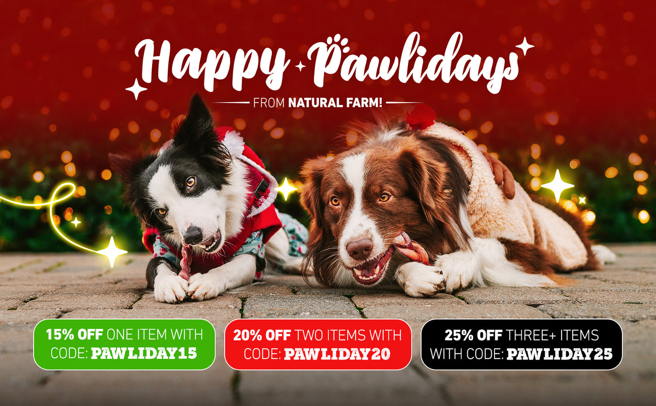 Pawz black friday top