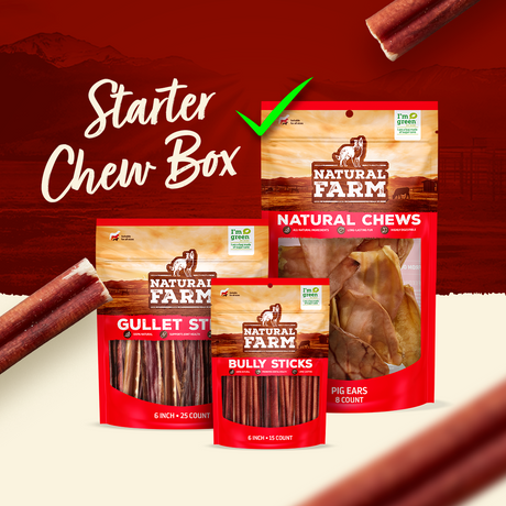 Natural Farm Starter Chew Box bundle featuring gullet sticks, bully sticks, and pig ears variety pack for dogs