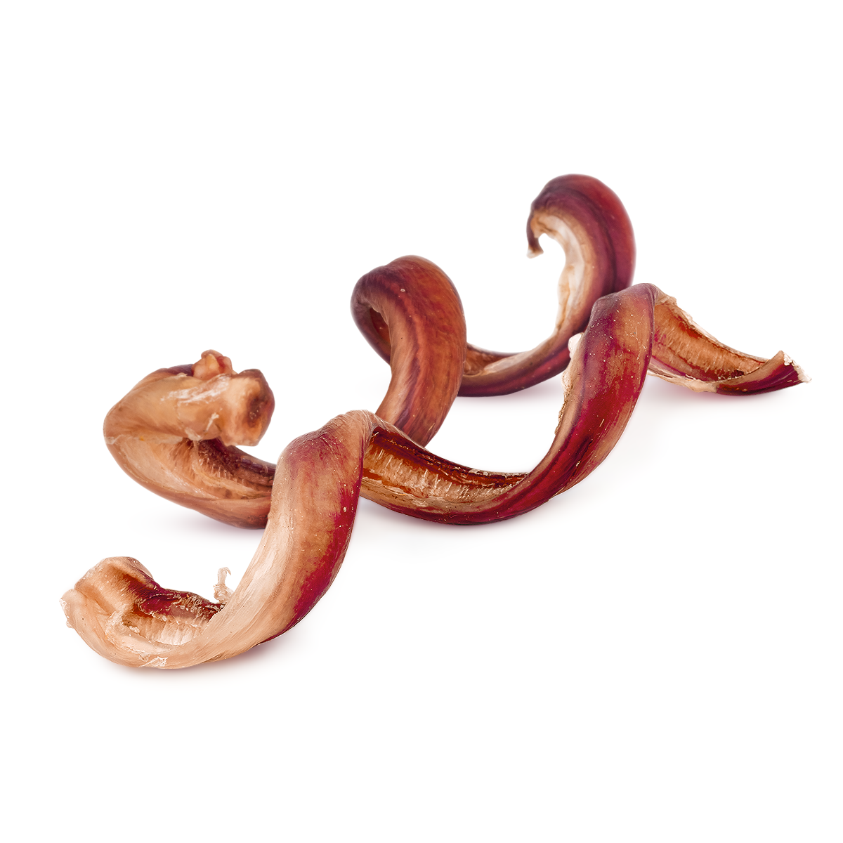 6 inch bully spring chew for playful dogs