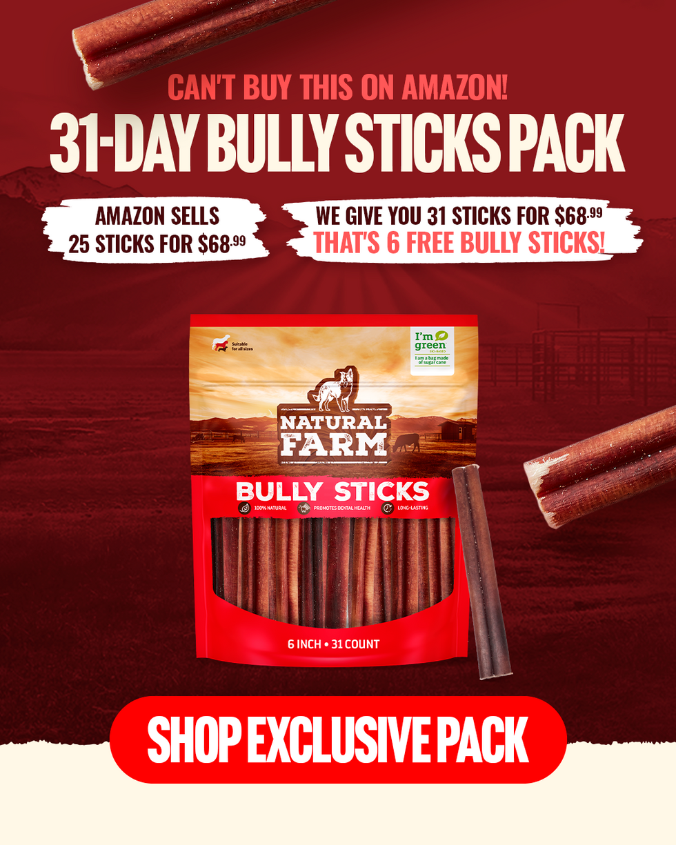 Imagem ilustrativa do site