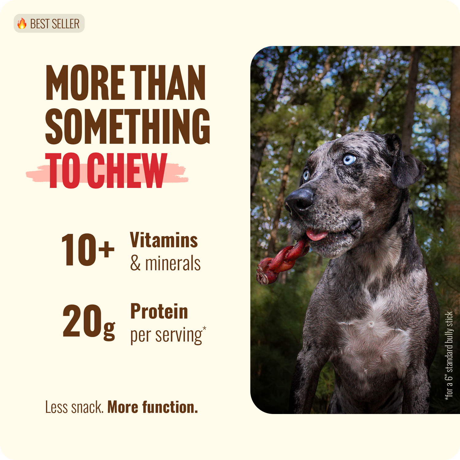 12 Inch Braided Bully Sticks